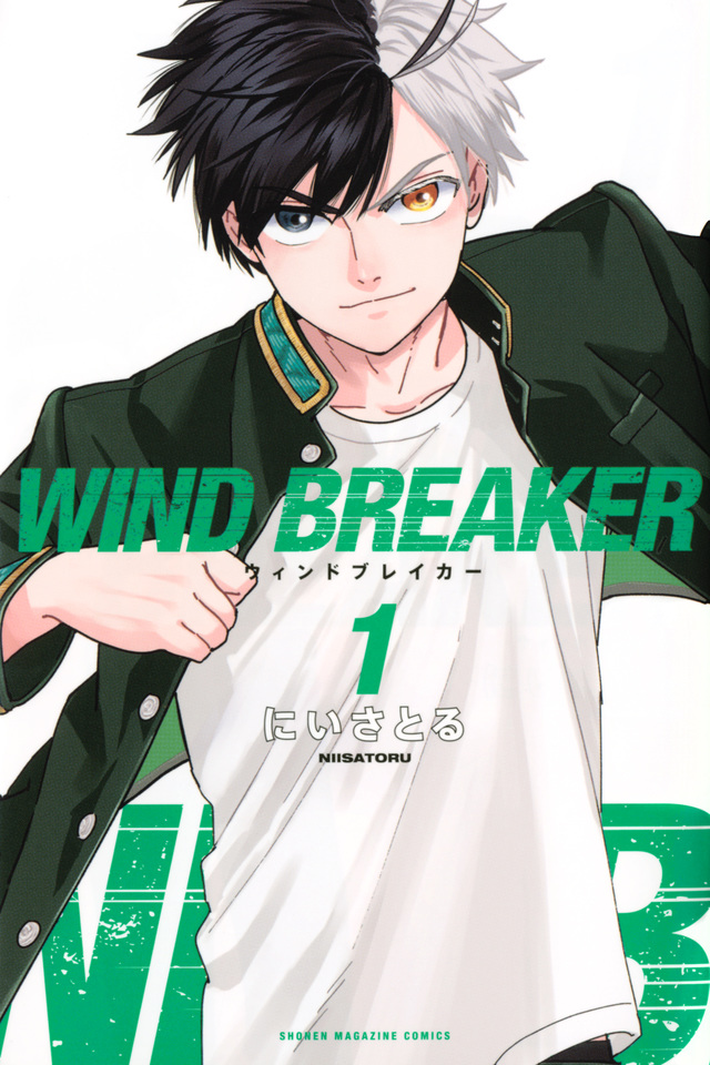 Wind Breaker (NII Satoru)