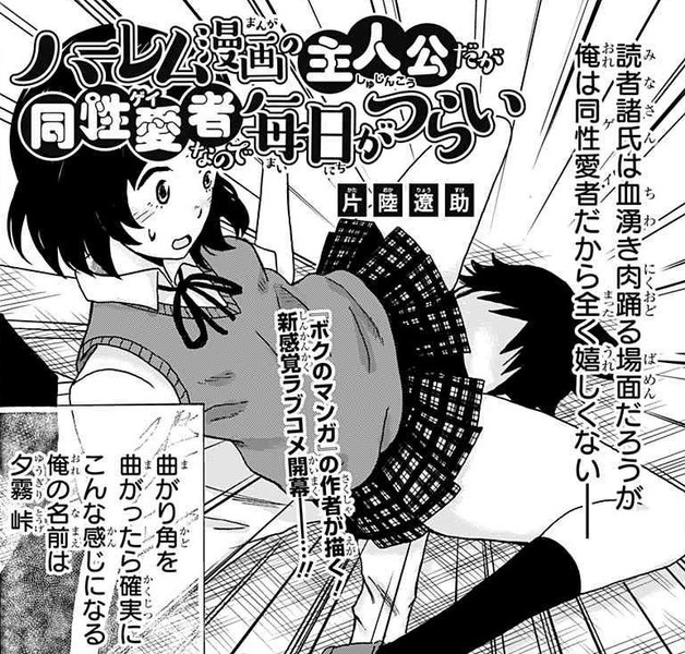 Harem Manga no Shujinkou da ga Gei na Node Mainichi ga Tsurai