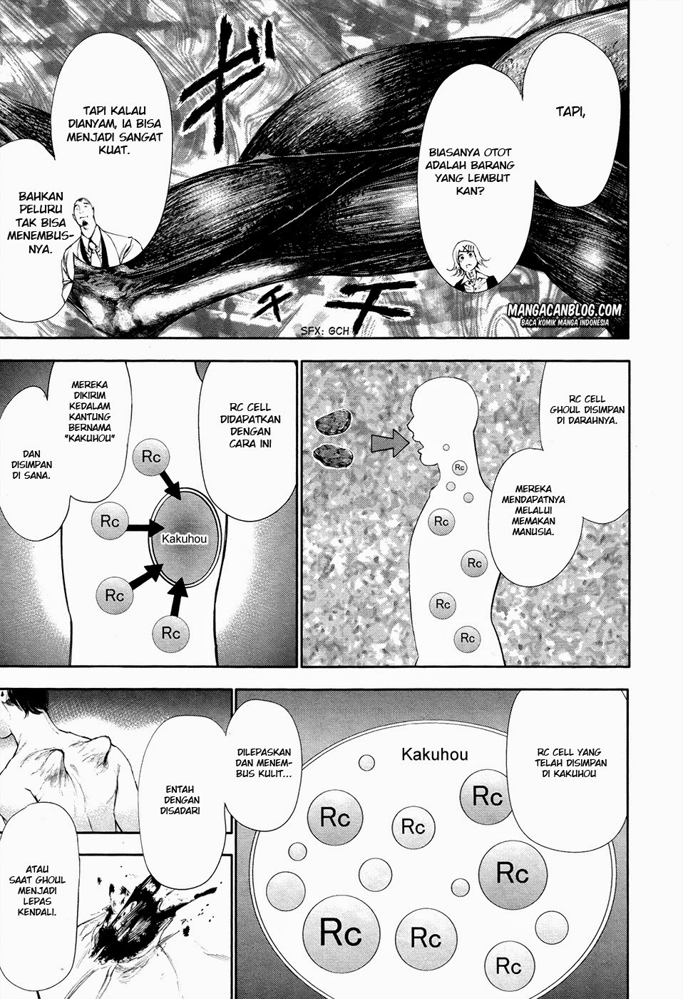 tokyo-ghoul - Chapter: 53