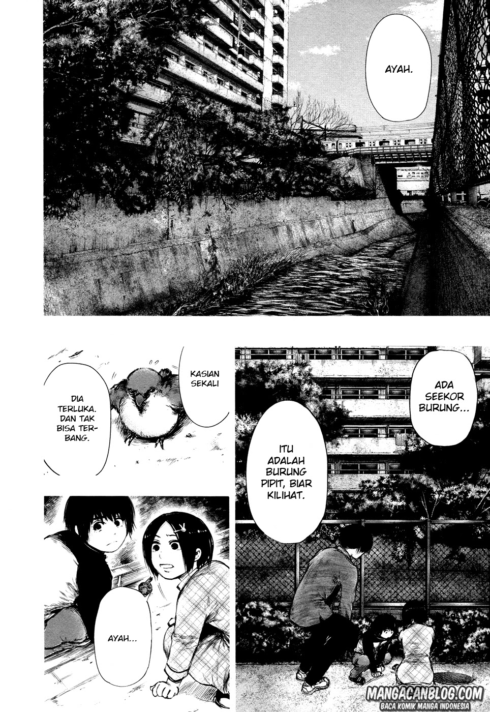 tokyo-ghoul - Chapter: 70