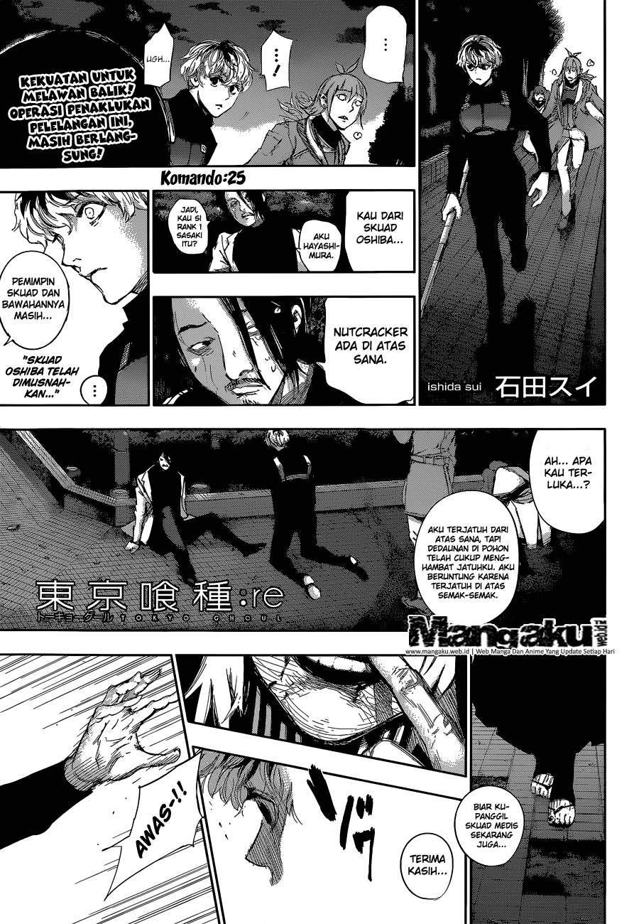 tokyo-ghoulre - Chapter: 25