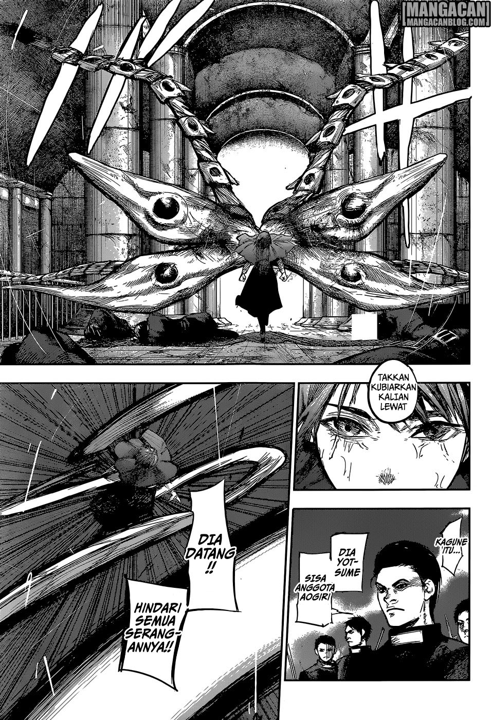 tokyo-ghoulre - Chapter: 141