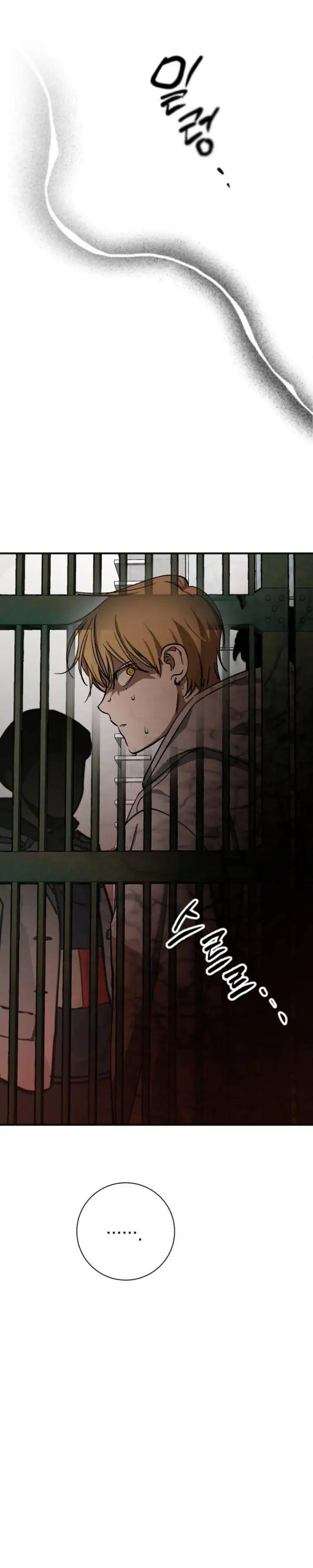 night-of-shadows - Chapter: 13