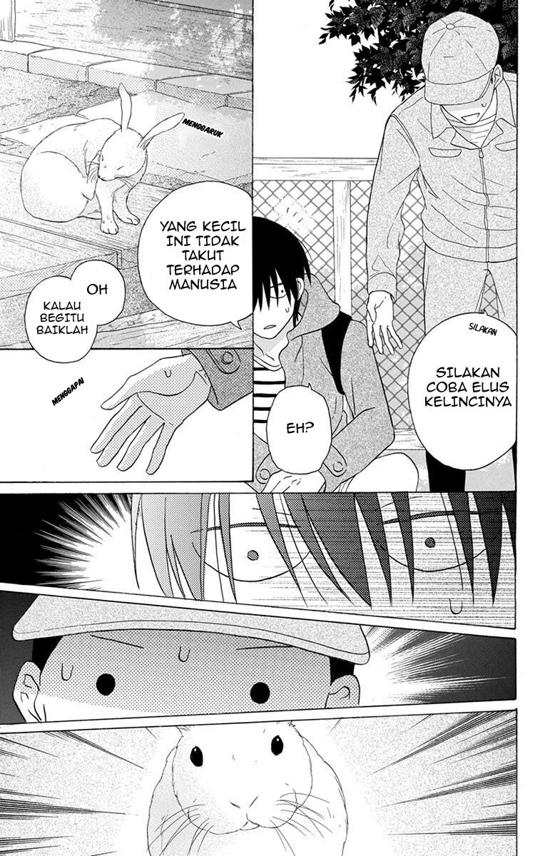 kawaii-hito-saitou-ken - Chapter: 19