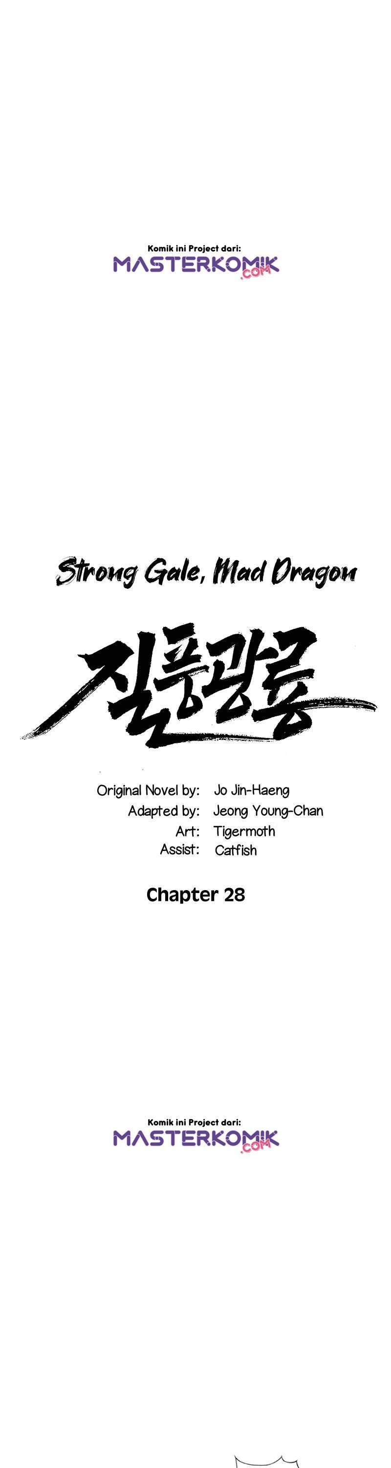 strong-gale-mad-dragon - Chapter: 28