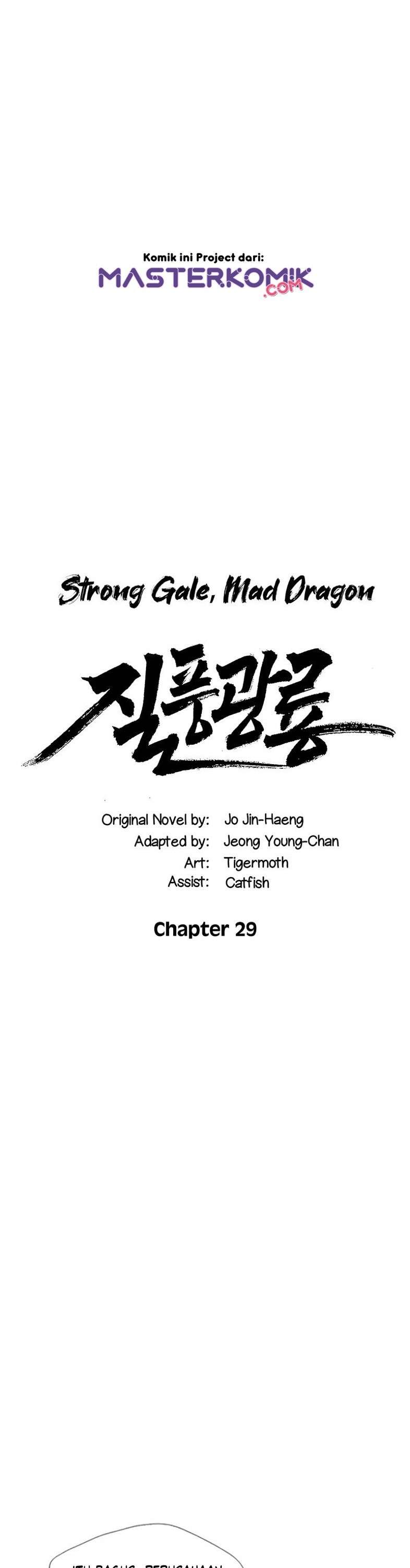 strong-gale-mad-dragon - Chapter: 29