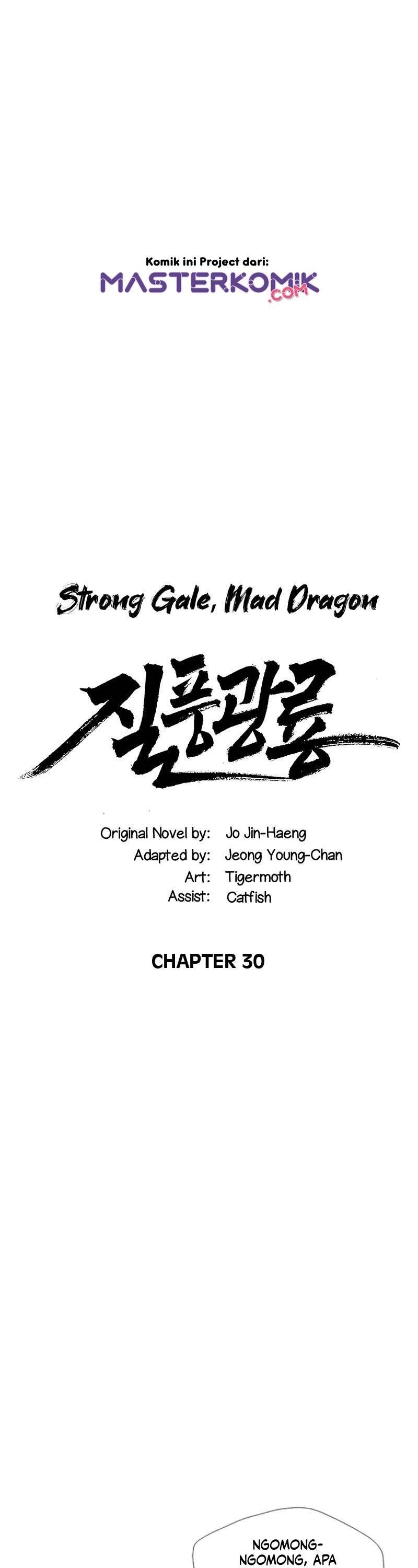 strong-gale-mad-dragon - Chapter: 30