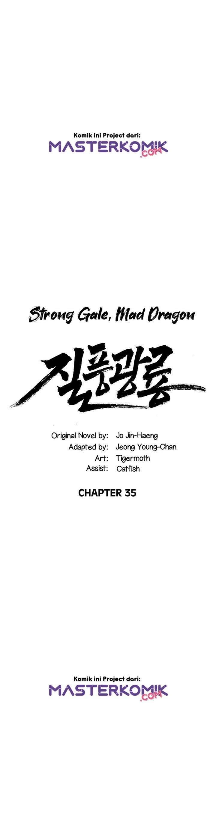 strong-gale-mad-dragon - Chapter: 35