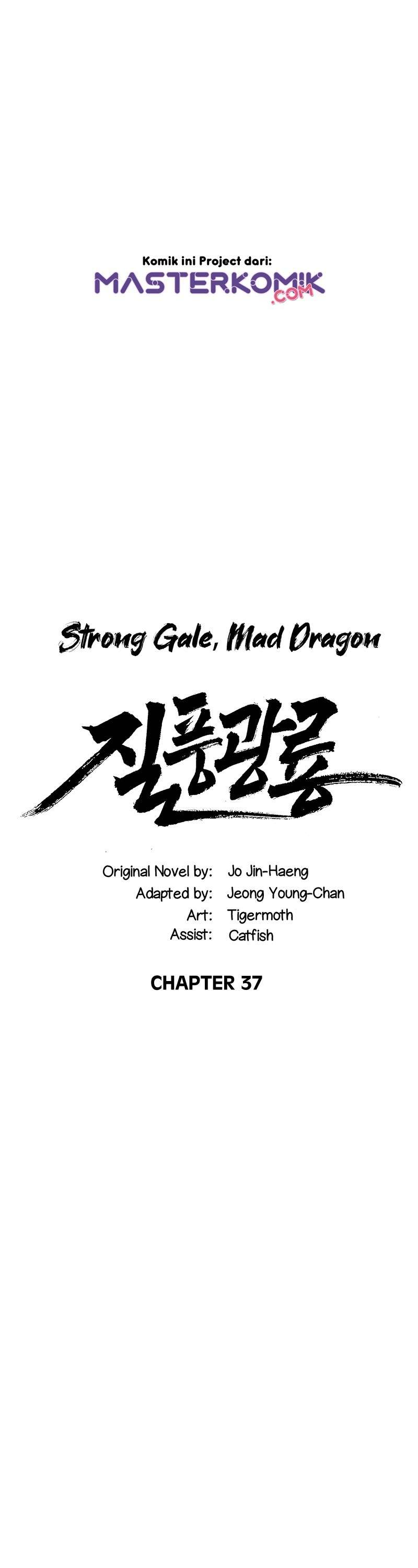 strong-gale-mad-dragon - Chapter: 37