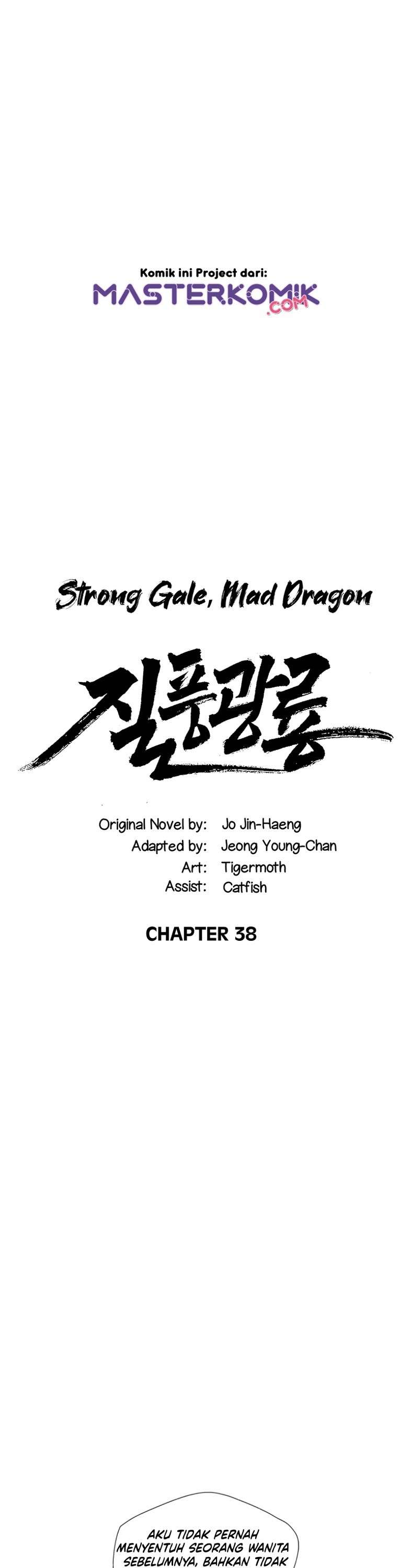 strong-gale-mad-dragon - Chapter: 38