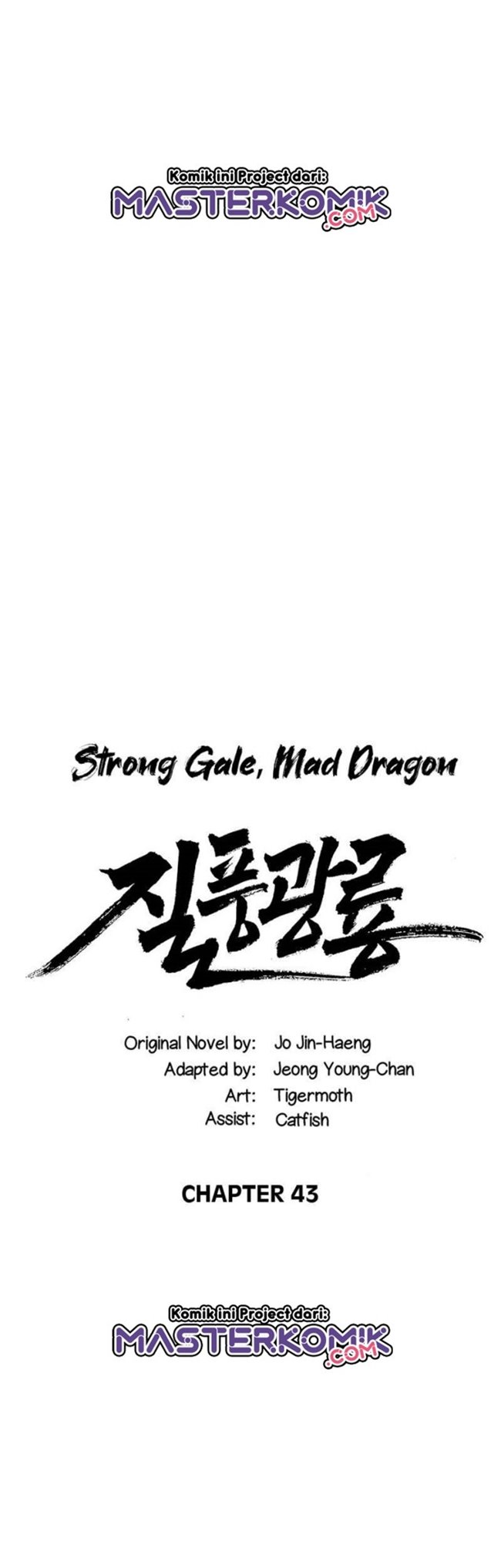 strong-gale-mad-dragon - Chapter: 43