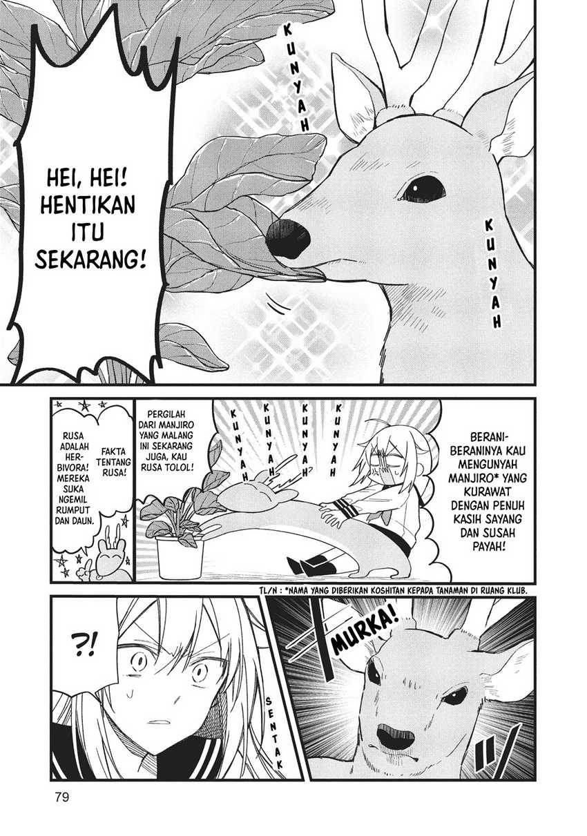 shikanoko-nokonoko-koshitantan - Chapter: 17