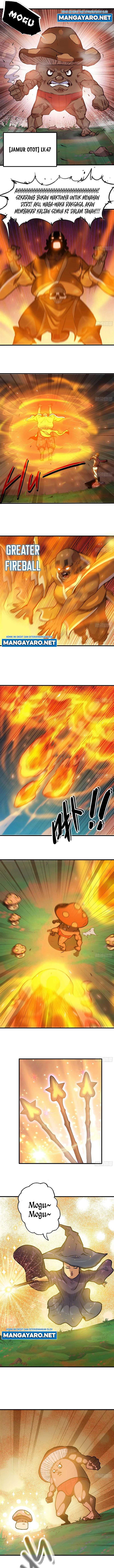 mushroom-hero - Chapter: 27