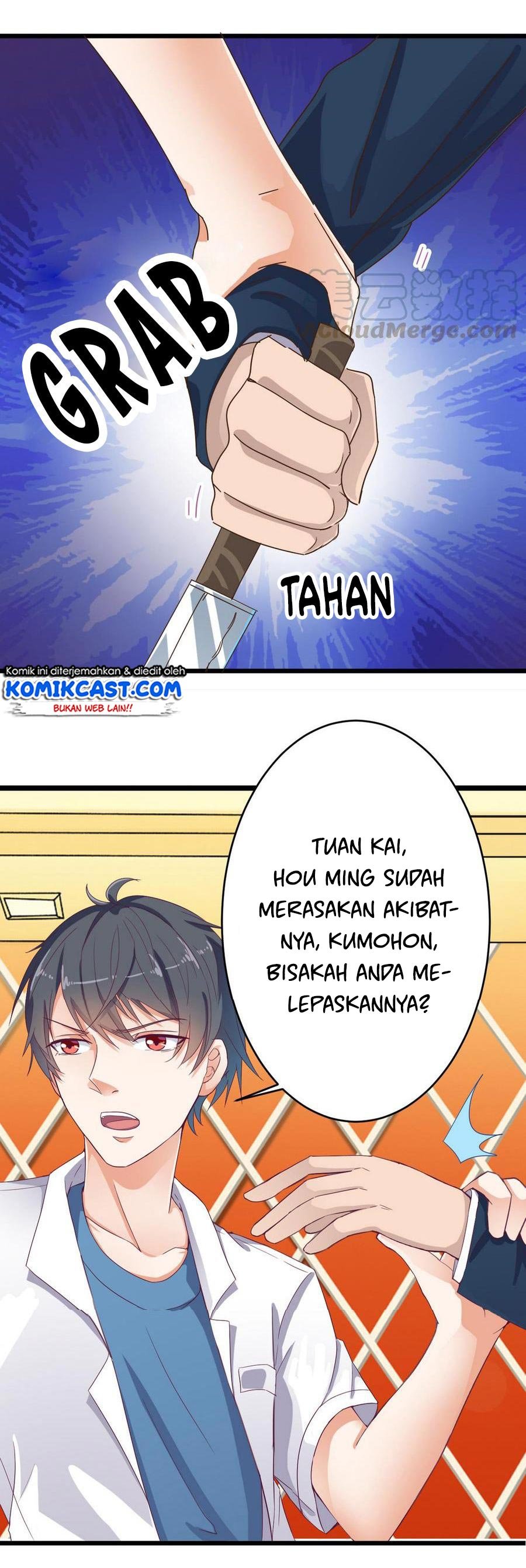 the-developer-system - Chapter: 25