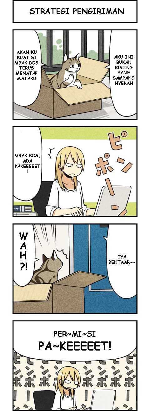 we-are-cats - Chapter: 1