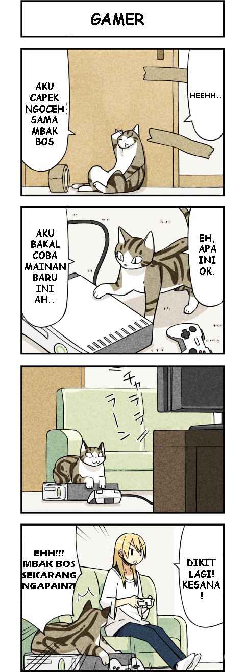 we-are-cats - Chapter: 2