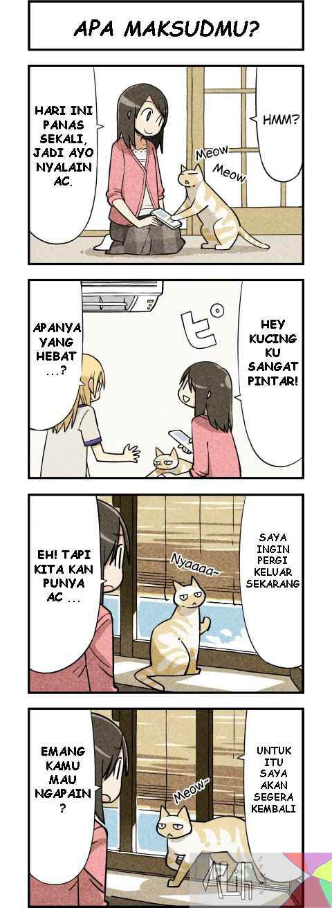 we-are-cats - Chapter: 4