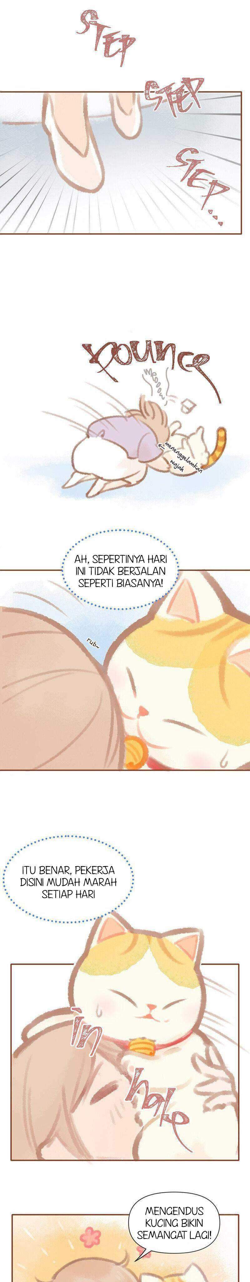 kitty-bells - Chapter: 1