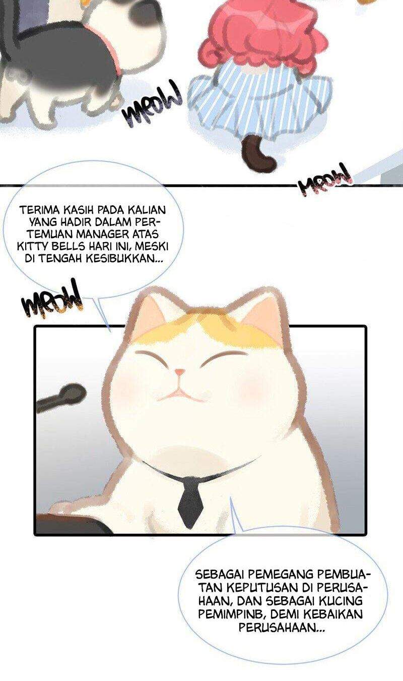 kitty-bells - Chapter: 5