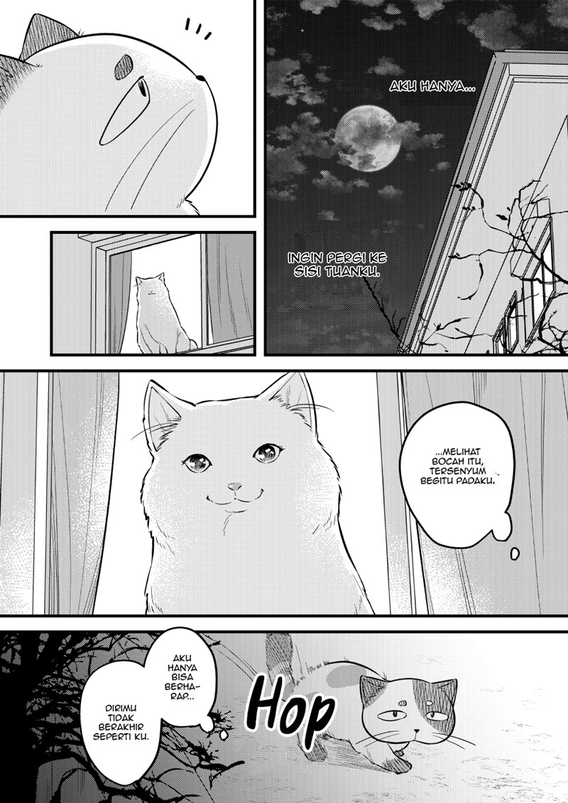 the-story-of-a-cat-that-has-lived-for-100-years - Chapter: 00