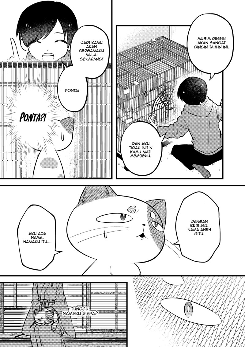 the-story-of-a-cat-that-has-lived-for-100-years - Chapter: 00