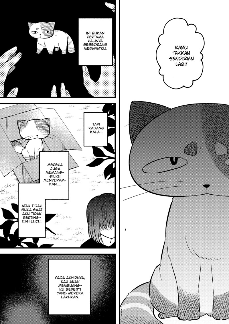 the-story-of-a-cat-that-has-lived-for-100-years - Chapter: 00