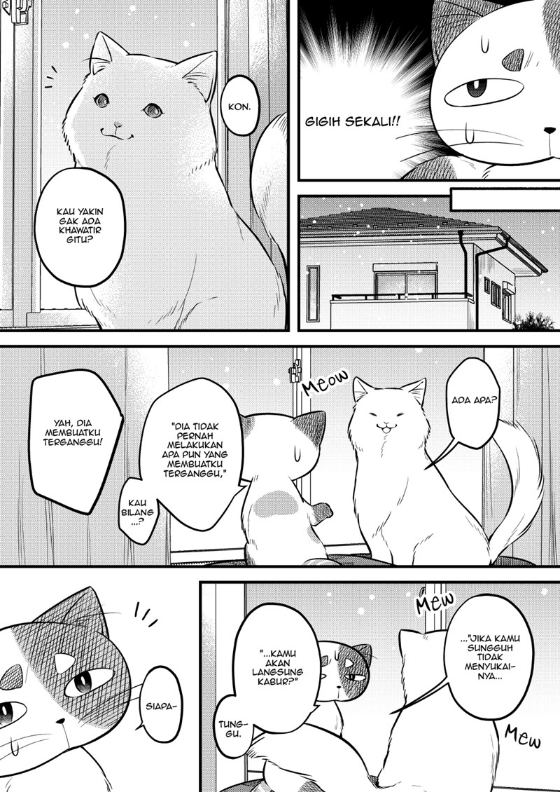 the-story-of-a-cat-that-has-lived-for-100-years - Chapter: 00