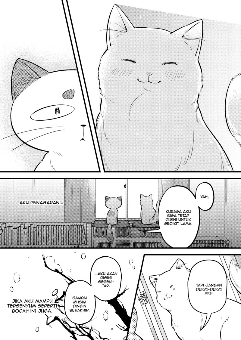 the-story-of-a-cat-that-has-lived-for-100-years - Chapter: 00