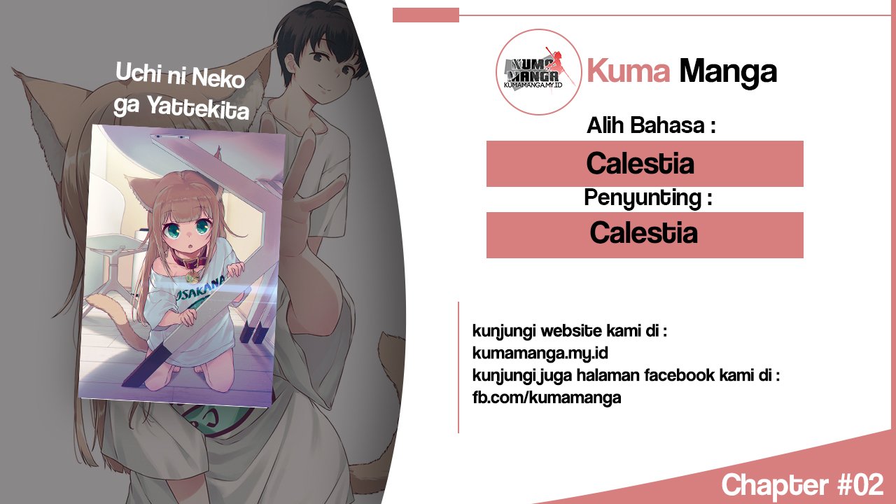 uchi-ni-neko-ga-yattekita - Chapter: 2
