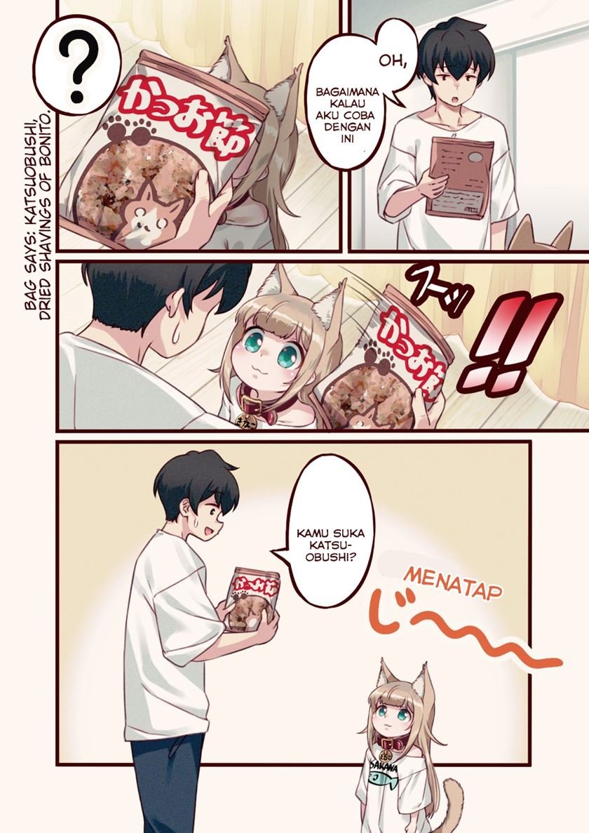 uchi-ni-neko-ga-yattekita - Chapter: 2