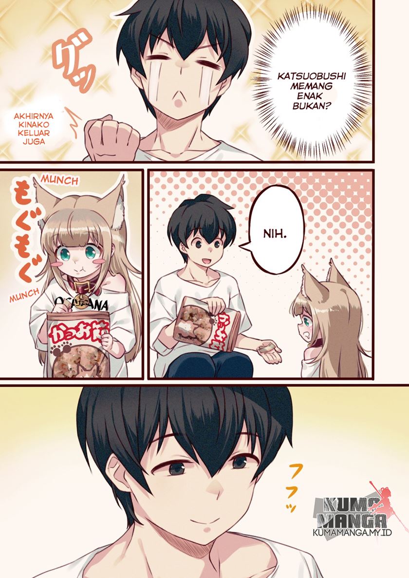uchi-ni-neko-ga-yattekita - Chapter: 2