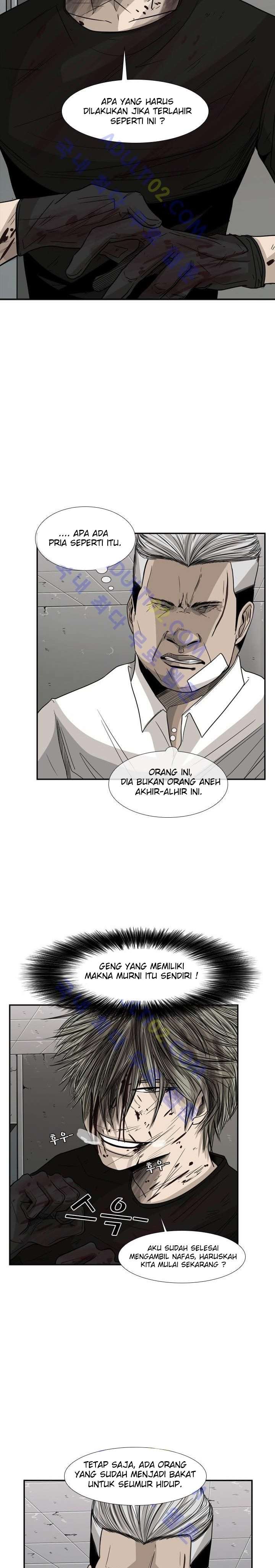 shark - Chapter: 28