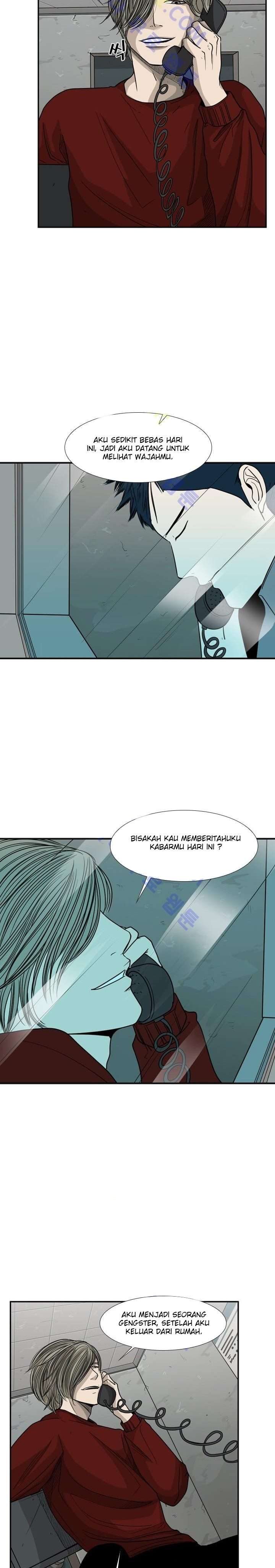 shark - Chapter: 31