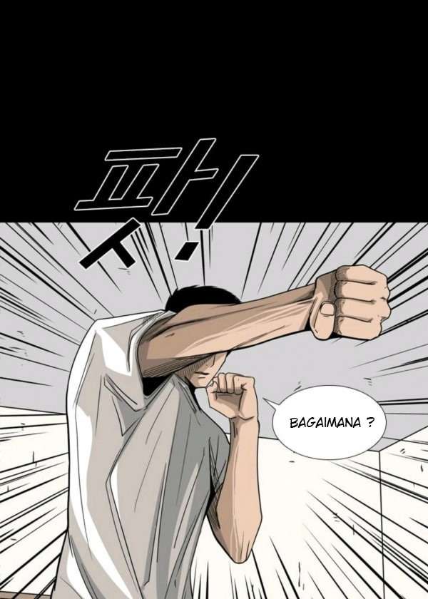 shark - Chapter: 63