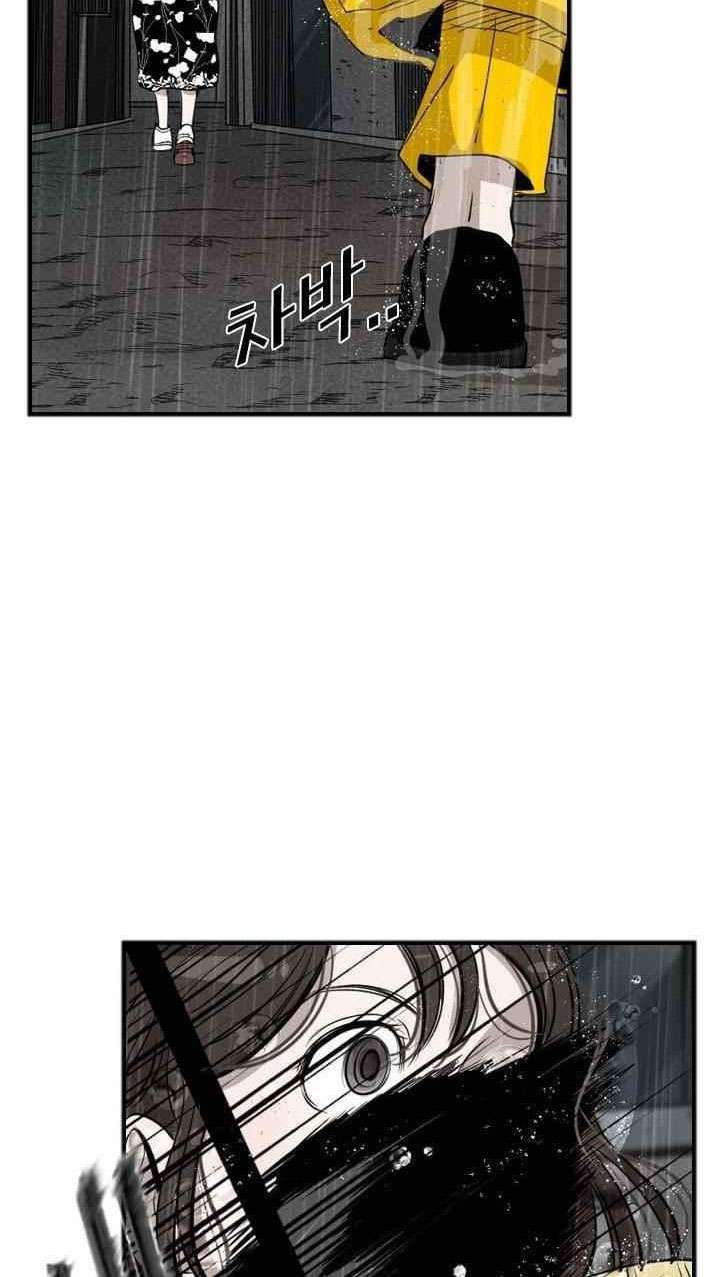 shark - Chapter: 104