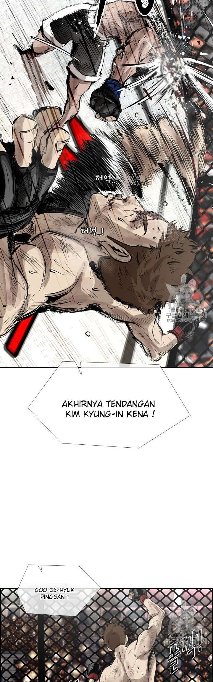 shark - Chapter: 145