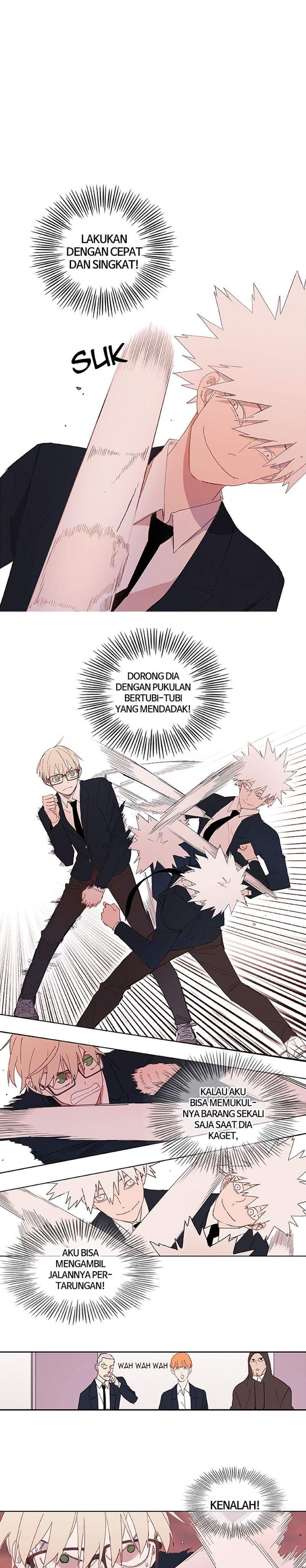the-boxer - Chapter: 6