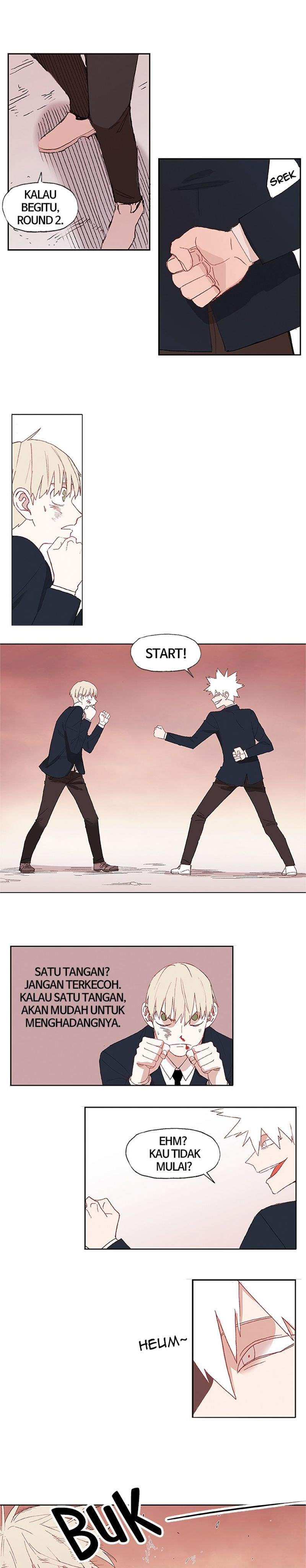 the-boxer - Chapter: 6