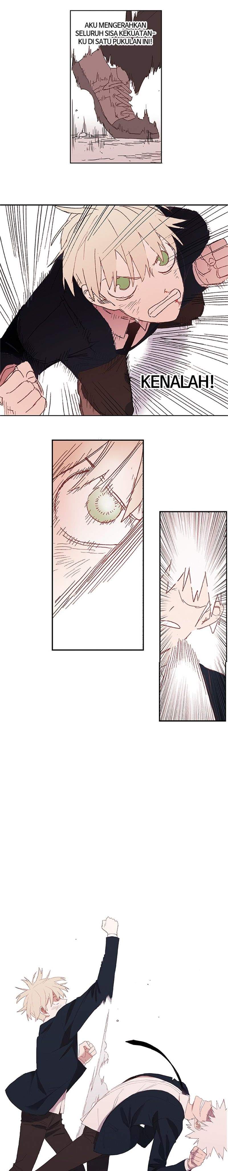 the-boxer - Chapter: 6