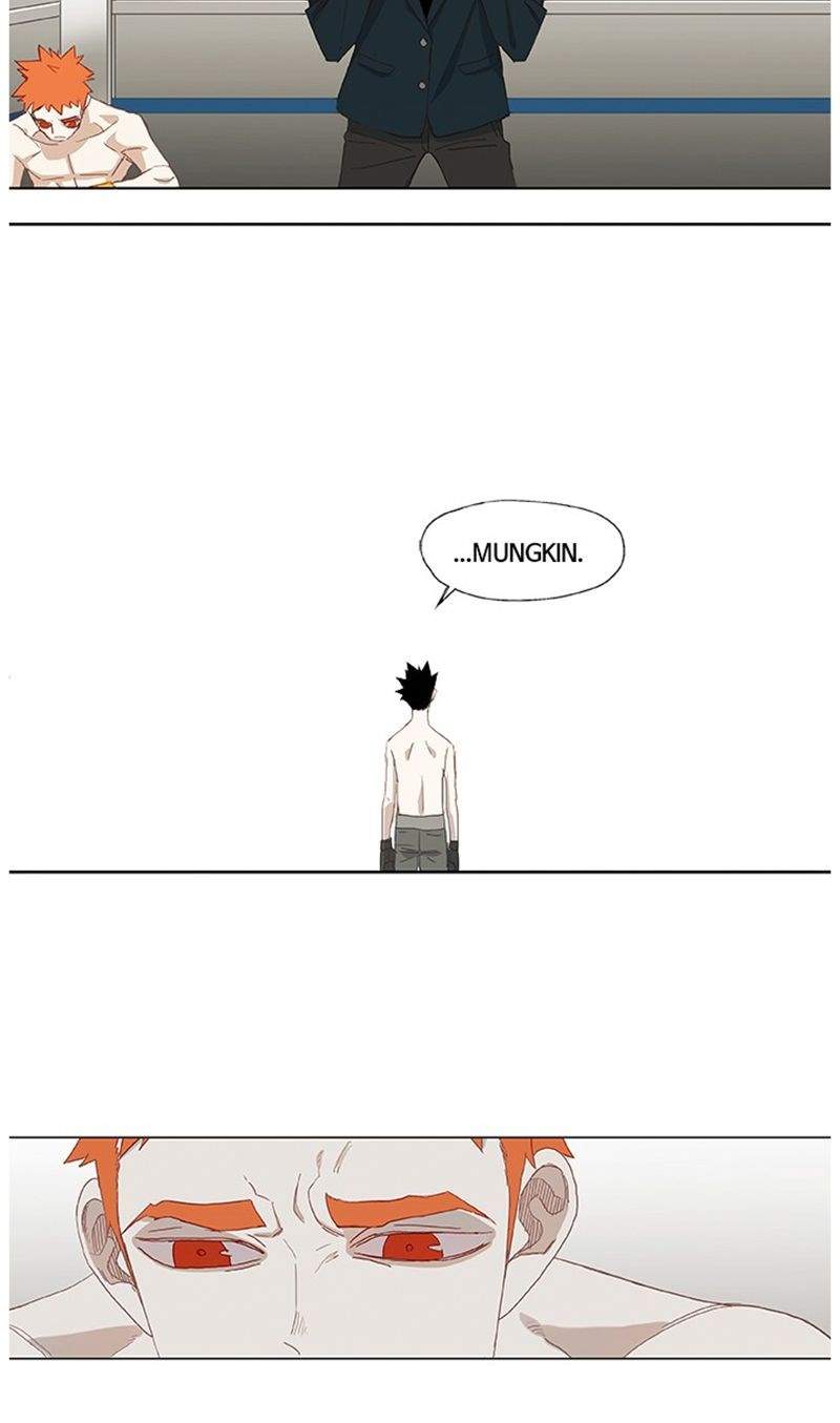 the-boxer - Chapter: 13