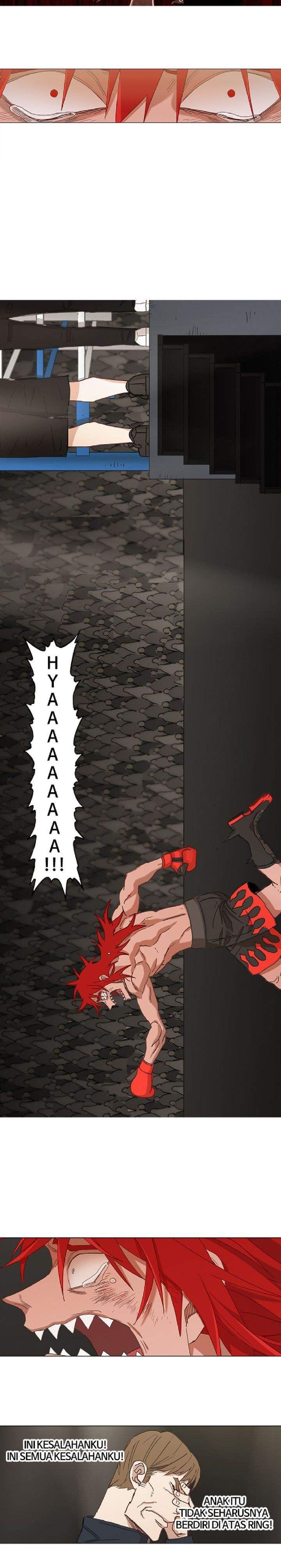 the-boxer - Chapter: 23