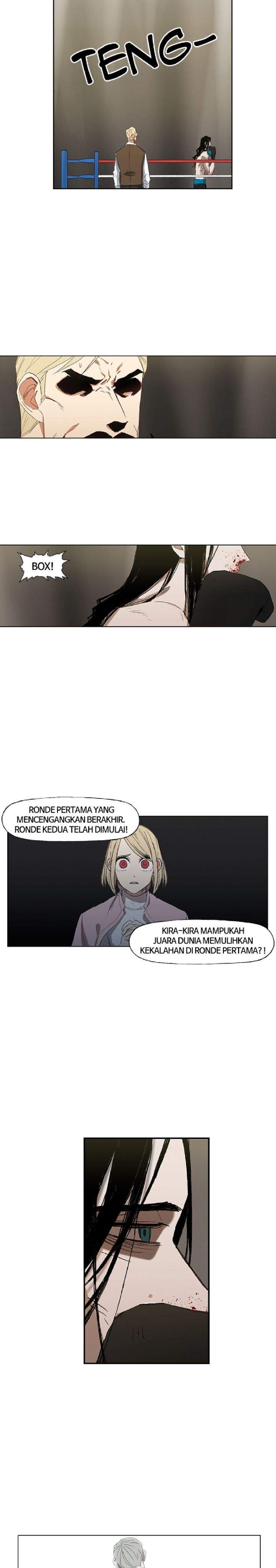 the-boxer - Chapter: 31