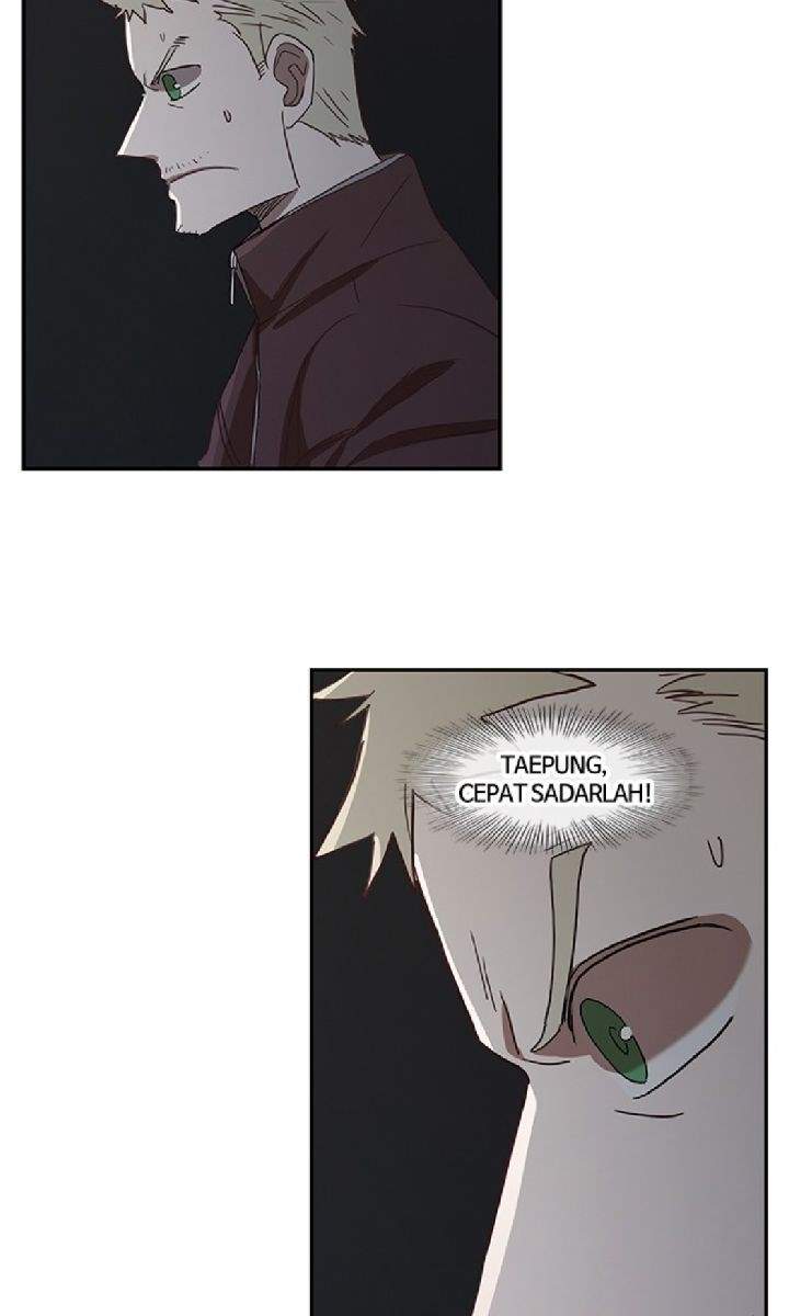 the-boxer - Chapter: 36