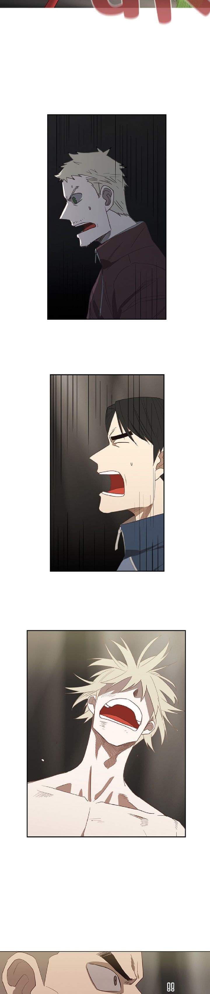the-boxer - Chapter: 36