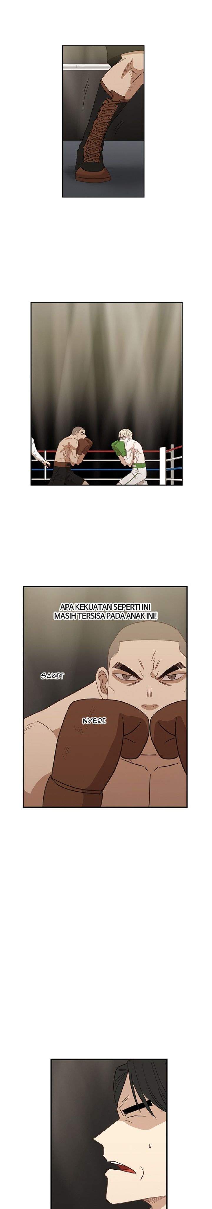 the-boxer - Chapter: 37