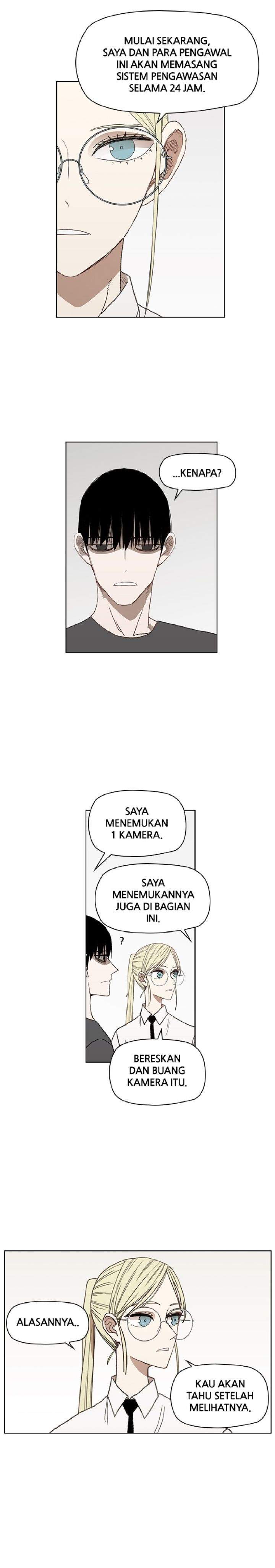 the-boxer - Chapter: 52