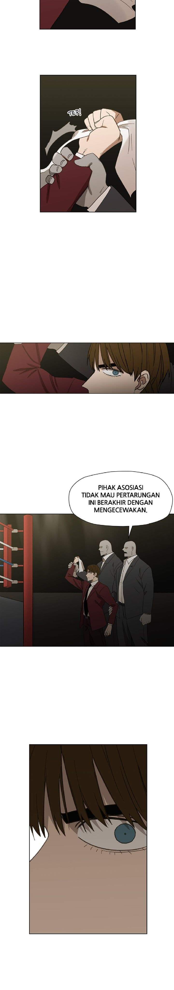 the-boxer - Chapter: 67