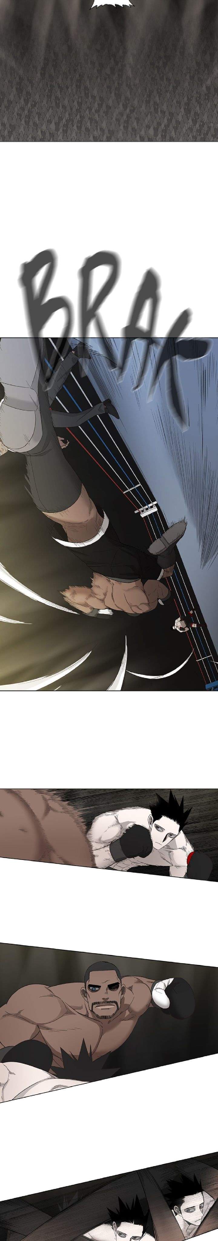 the-boxer - Chapter: 81