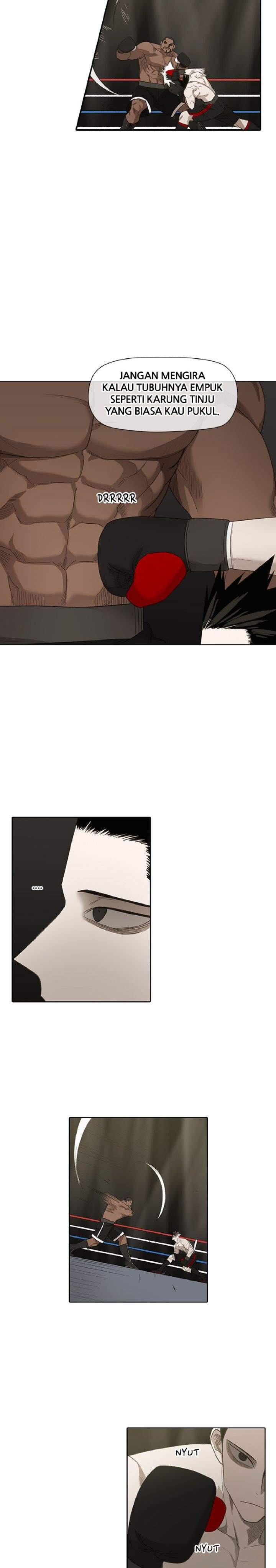 the-boxer - Chapter: 81