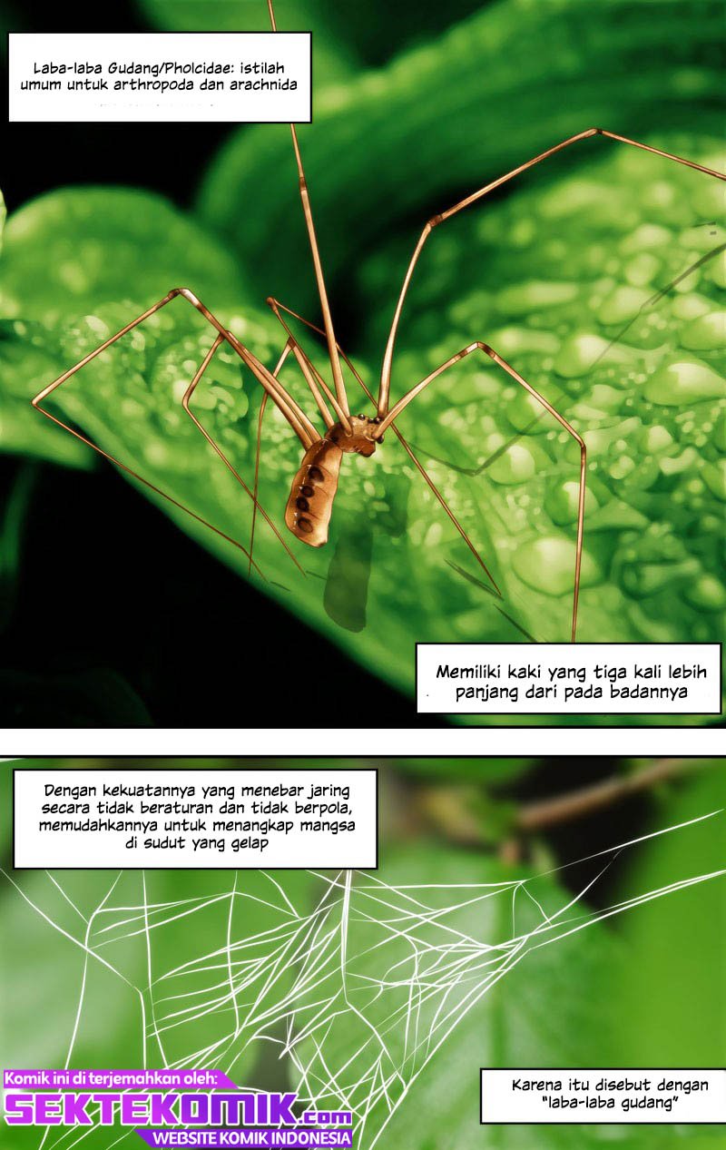 chong-sheng-resurrection - Chapter: 145
